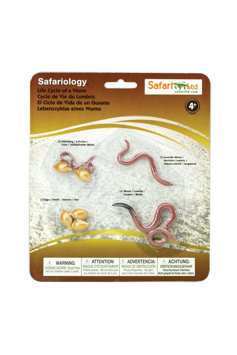 Life Cycle Of A Worm, Main, color, No Color