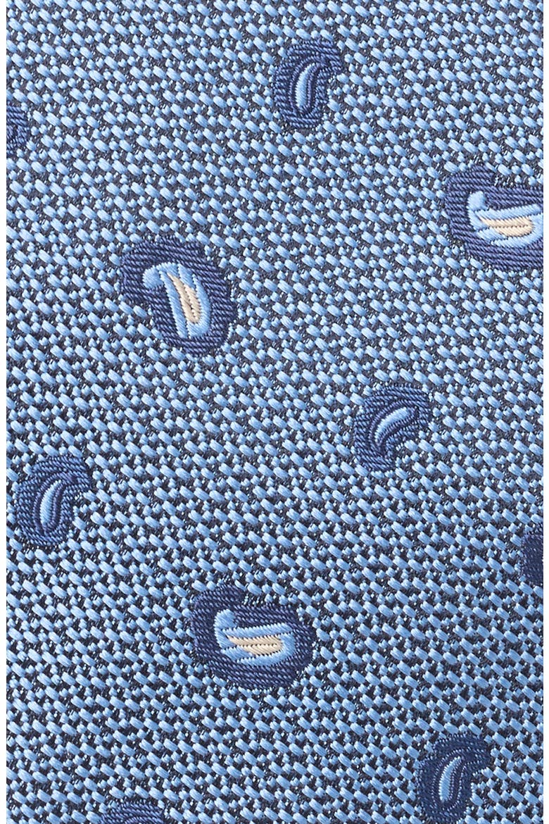 Paisley Petal Silk Tie, Alternate, color, BR BLU FAN
