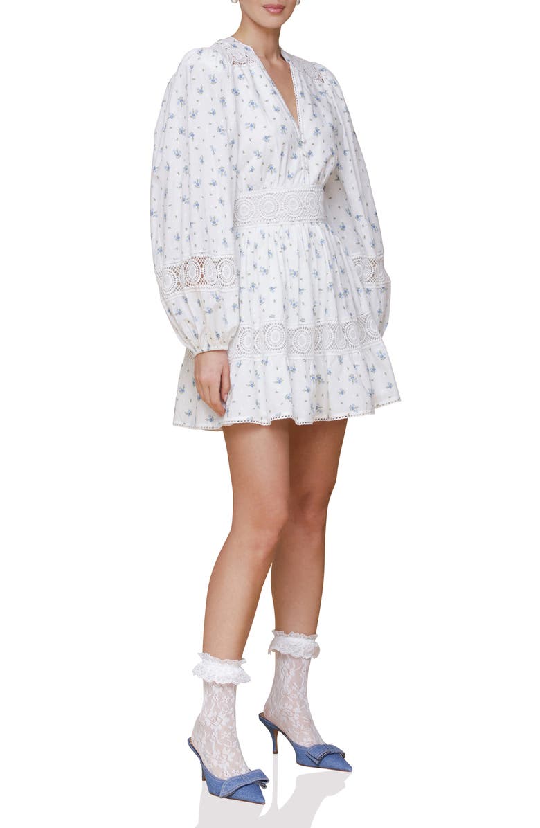 Avec Les Filles Lace Trim Long Sleeve Cotton Minidress, Alternate, color, Scattered Ditsy