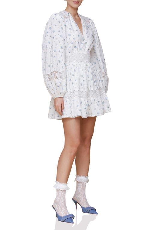 Avec Les Filles Lace Trim Long Sleeve Cotton Minidress In Scattered Ditsy