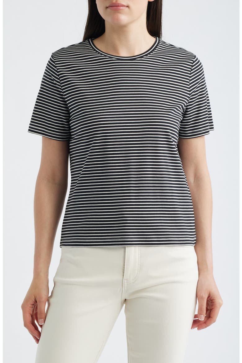 Lightweight Stripe Cotton Crewneck T-Shirt, Main, color, MINISHUTTER CB/ L