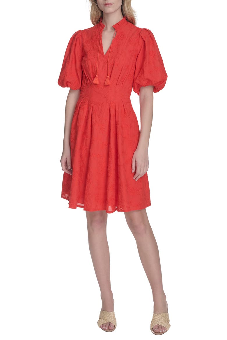 Floral Embroidered Puff Sleeve Cotton Fit & Flare Dress, Main, color, RED