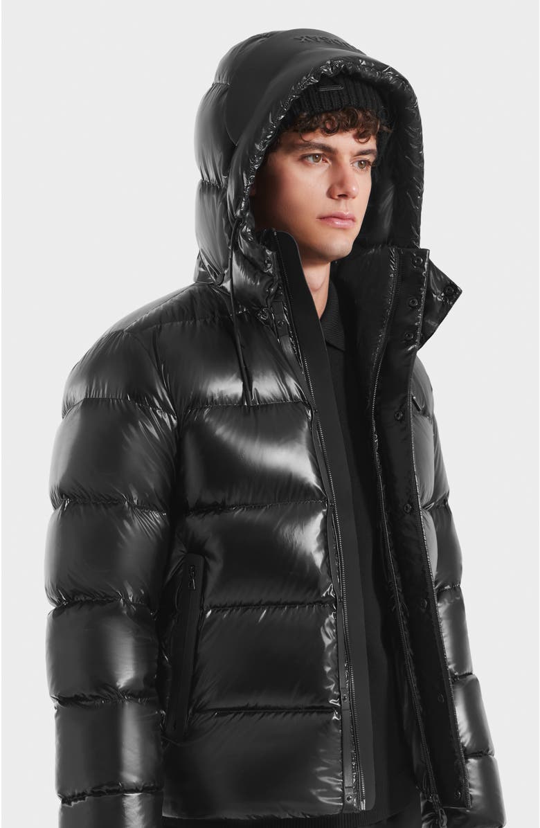 Rudsak Joel Glossy Down Puffer Jacket, Alternate, color, Black