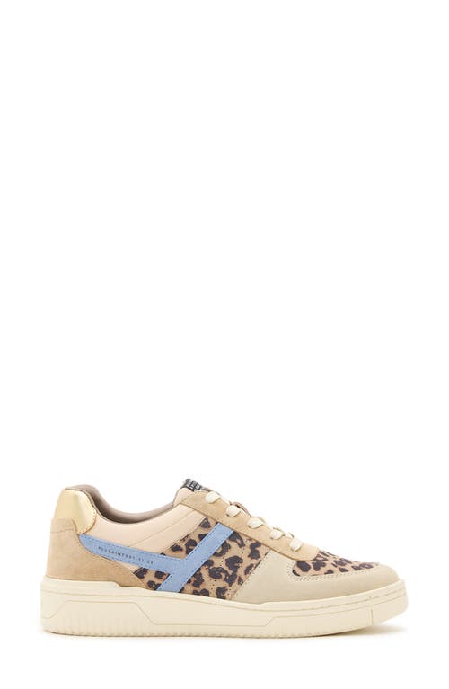 Allsaints Vix Sneaker In Sand Brown/blue