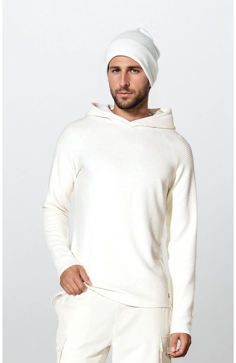 Ledger & Ford Pengrove Super Soft Hoodie, Main, color, Cream