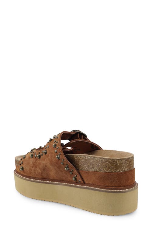 Zigi Studded Platform Sandal In Brown