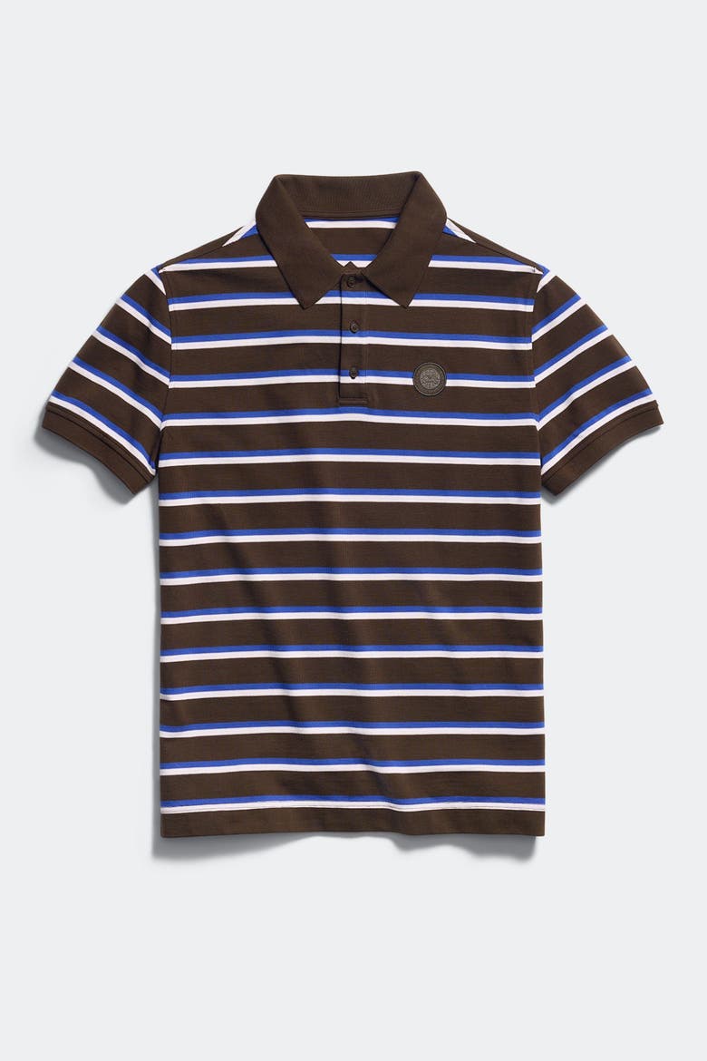 Beckley Striped Polo Tonal Disc, Main, color, Terra Moncton Stripe