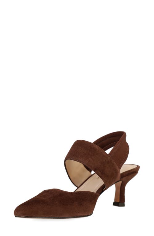 Pelle Moda Kiam Slingback Pointed Toe Kitten Heel Pump In Brown