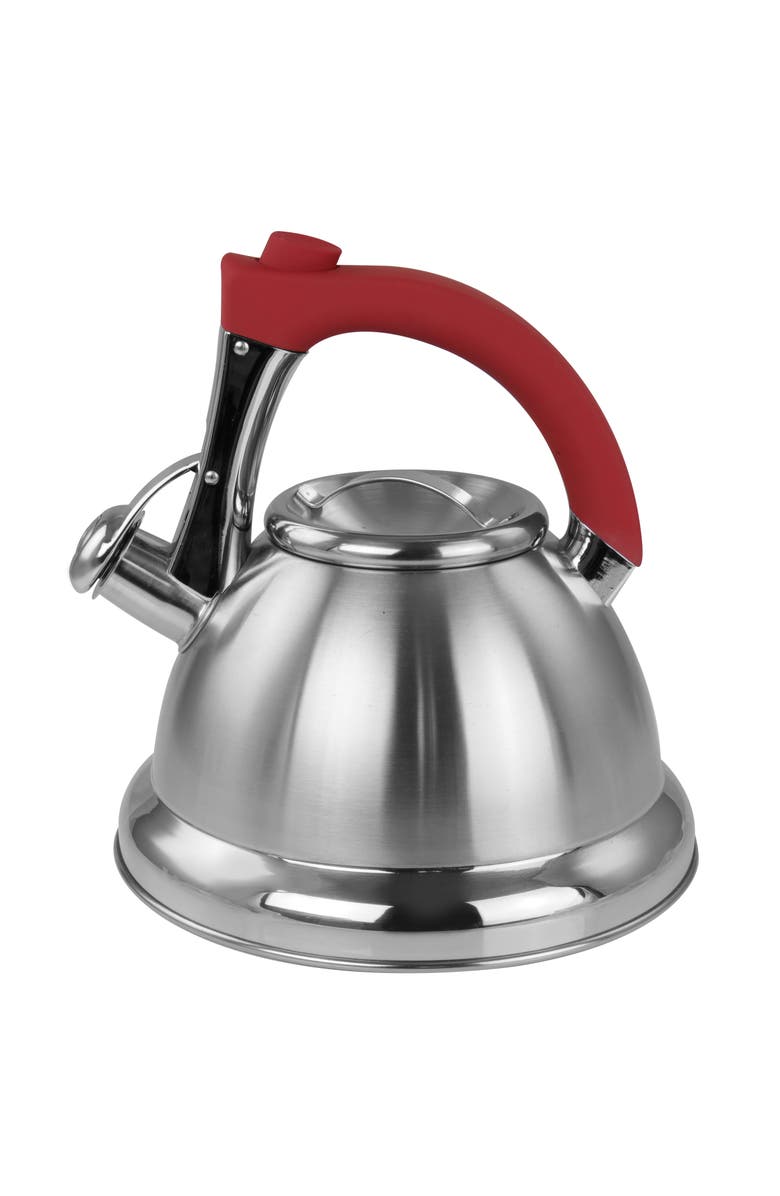 Mr. Coffee 1.8 quart Stainless Steel Whistling Tea Kettle, Alternate, color, Metallic Silver