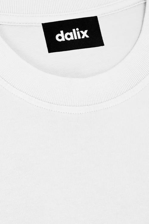 Dalix Mens Astronaut Heavyweight Pigment Dye Tee