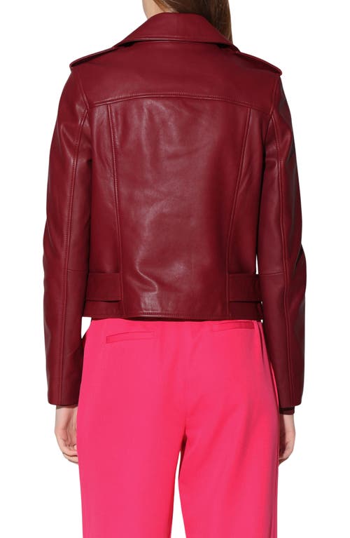 WALTER BAKER WALTER BAKER ALLISON LEATHER MOTO JACKET