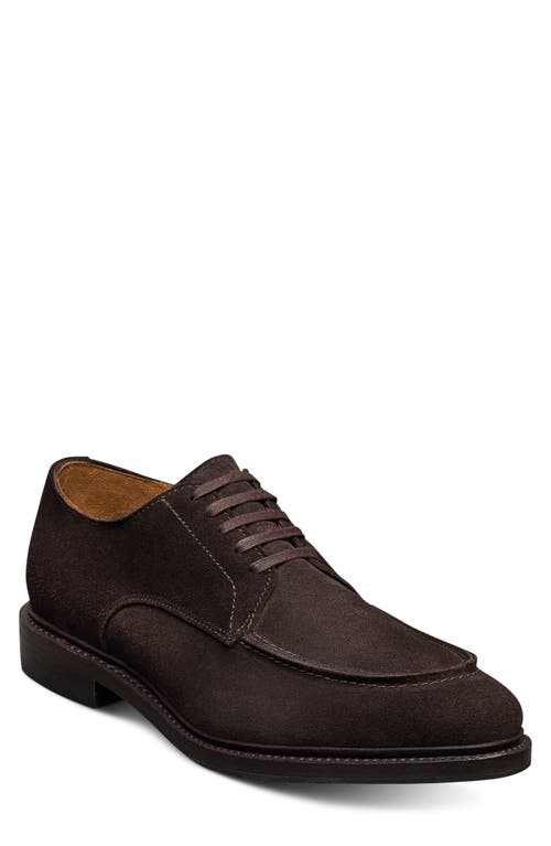 Allen Edmonds Rivington Suede Moc Toe Derby In Animal Print