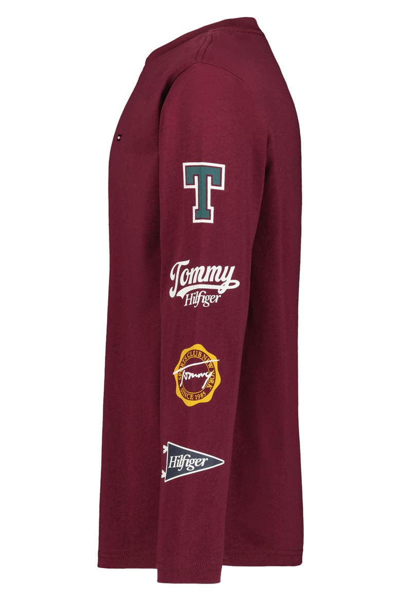 Kids' Collegiate Icon Graphic Long Sleeve T-Shirt, Alternate, color, ZINFANDEL