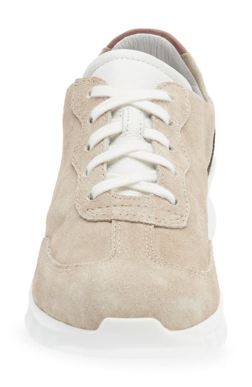 Naot Infinity Colorblock Sneaker In Sand Stone Suede