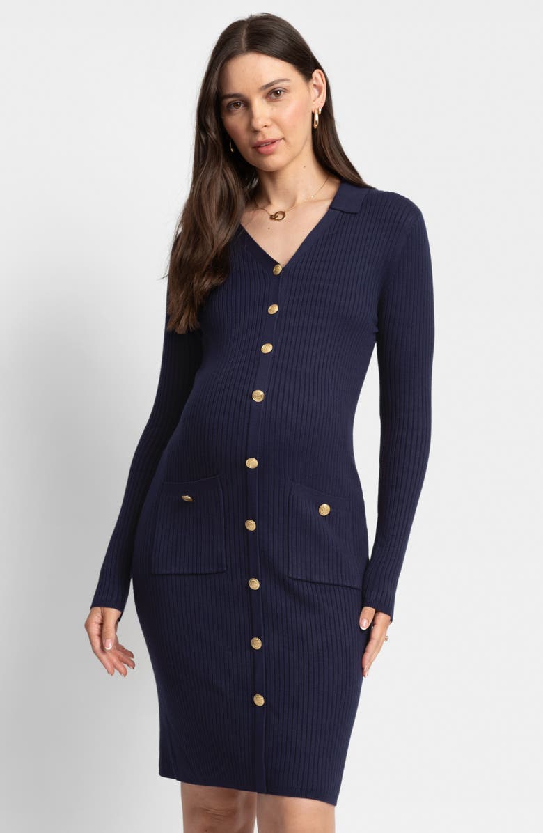 Seraphine Long Sleeve Maternity/Nursing Button-Up Sweater Dress, Alternate, color, 