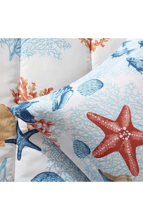 Beatrice Home Fashions Caribbean Joe Comforter & Shams Set