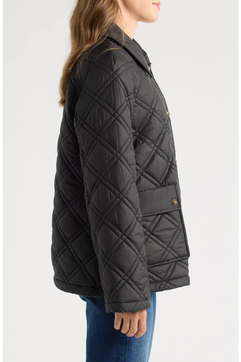 Crest Quilted Snap Jacket, Alternate, color, BLACK