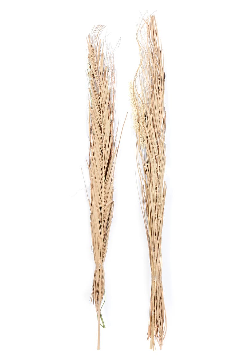 Brown Dried Plant Pigeon Pea Natural Foliage - Set of 2, Alternate, color, BROWN