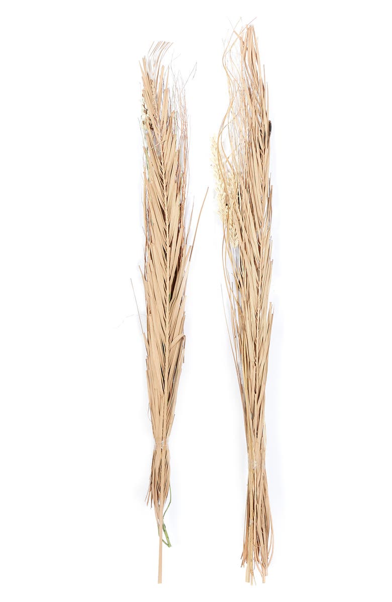 SONOMA SAGE HOME Brown Dried Plant Pigeon Pea Natural Foliage - Set of 2, Alternate, color, Brown