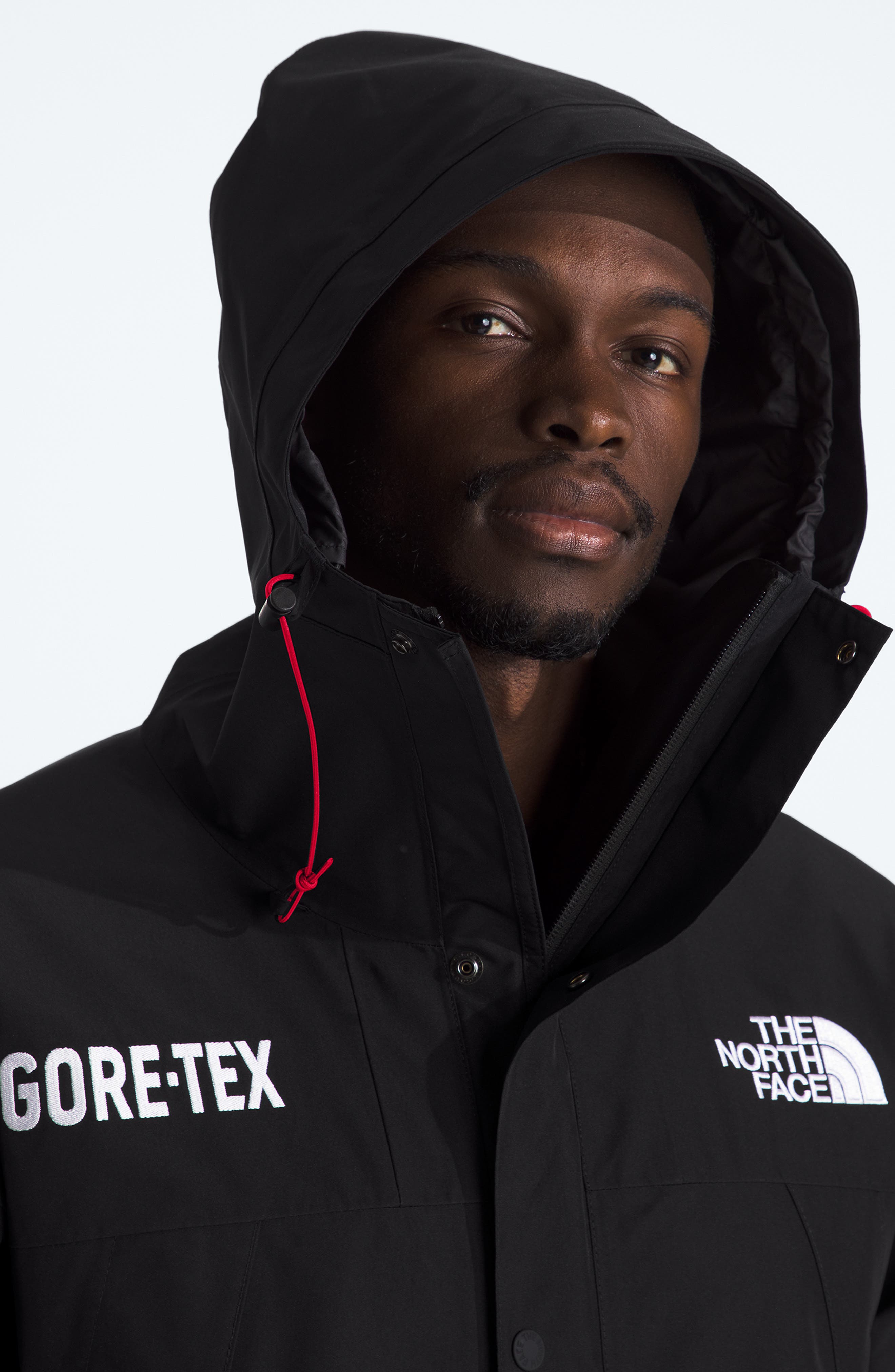 新品　NORTHFACE ノードストロームコラボマウンテンパーカージャケット Gore-Tex® Waterproof Mountain Jacket (Men) | Nordstrom