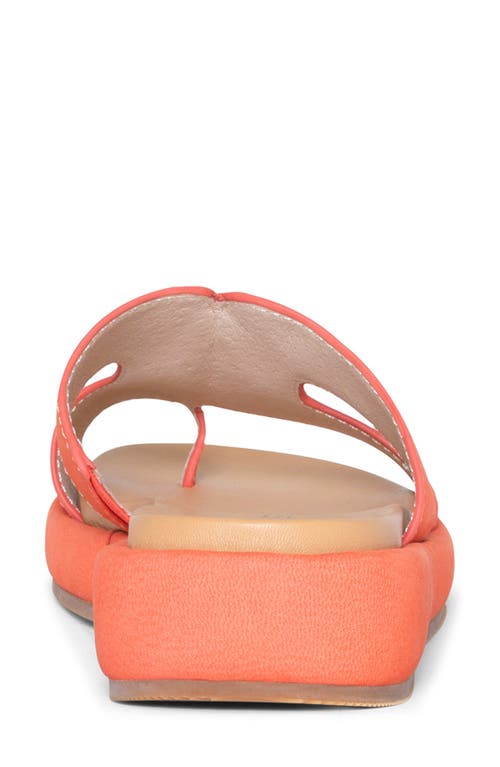 DONALD PLINER DONALD PLINER PLATFORM SANDAL