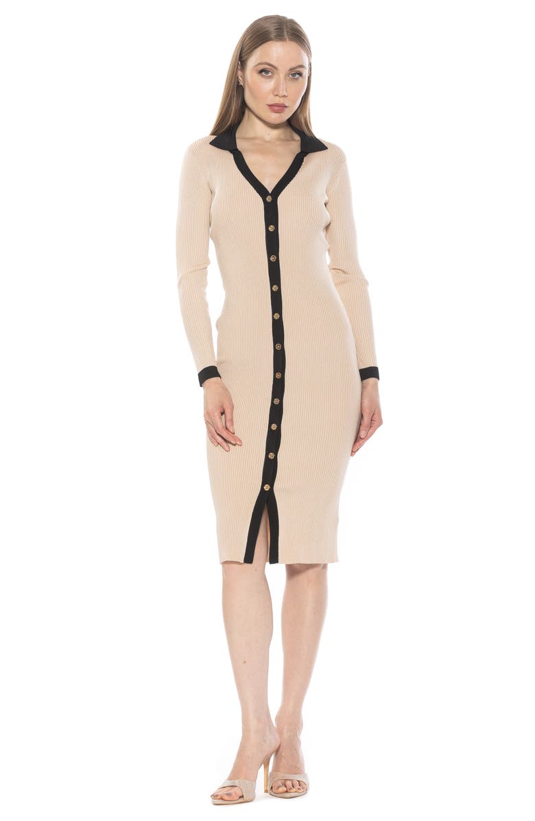 Alexia Admor Cordelia Knit Long Sleeve Shirtdress, Alternate, color, Ivory