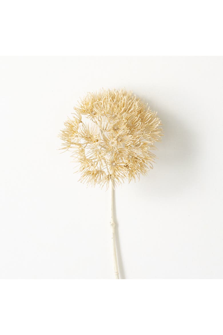 Sullivan's Allium Spray, Cream Faux Floral Stem for Crafting, Weddings, Home and Holiday Decoration, 29 Inch, Main, color, Beige