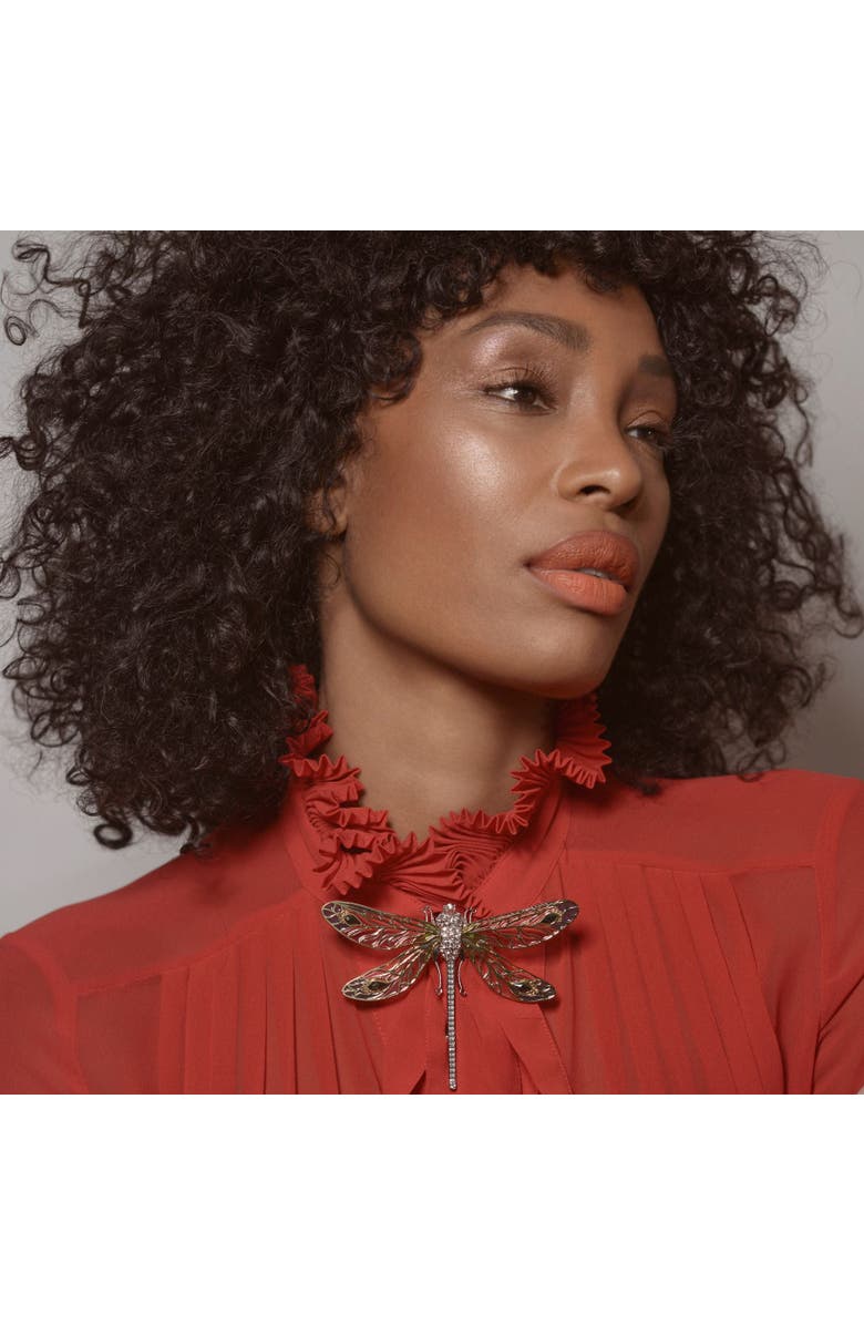 Bill Skinner Studio Dragonfly Brooch, Alternate, color, Dragonfly