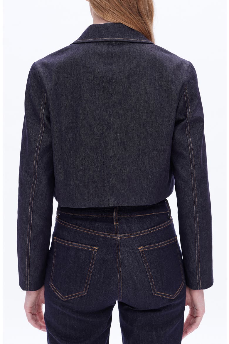 Patrick Crop Denim Jacket, Alternate, color, RINSE WASH