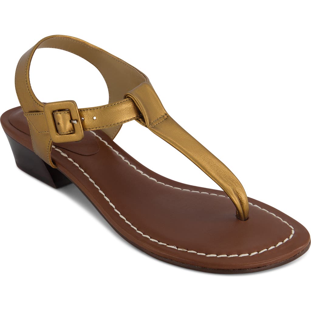 Bernardo Goya T-strap Sandal In Brown