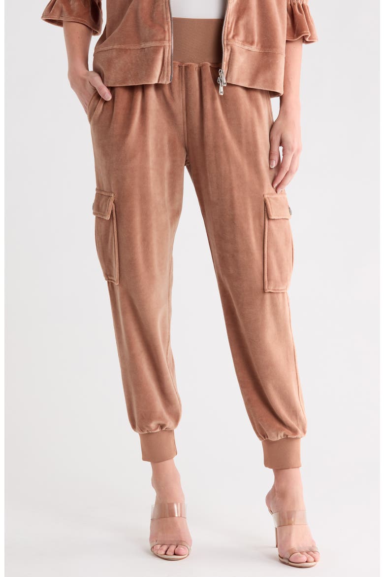 Giles Velour Ankle Pants, Main, color, MOCHA