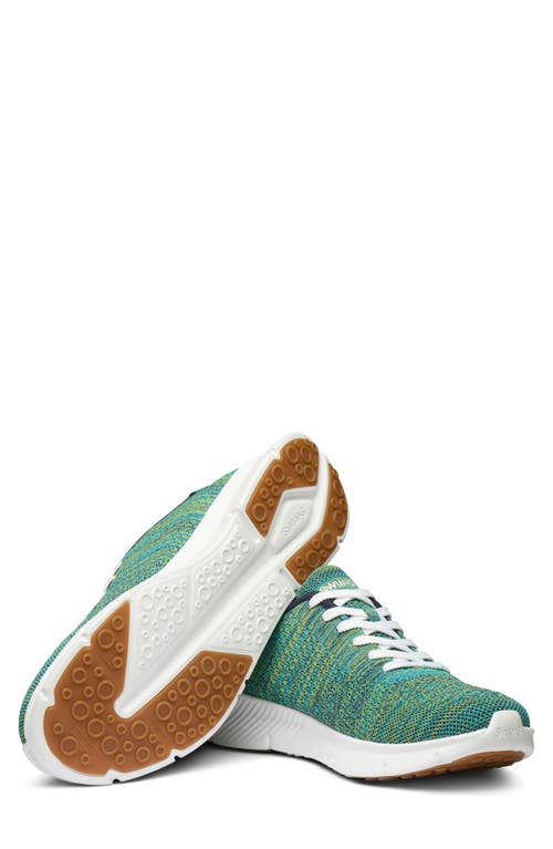 Swims Mare Knit Trainer Sneaker In Multi
