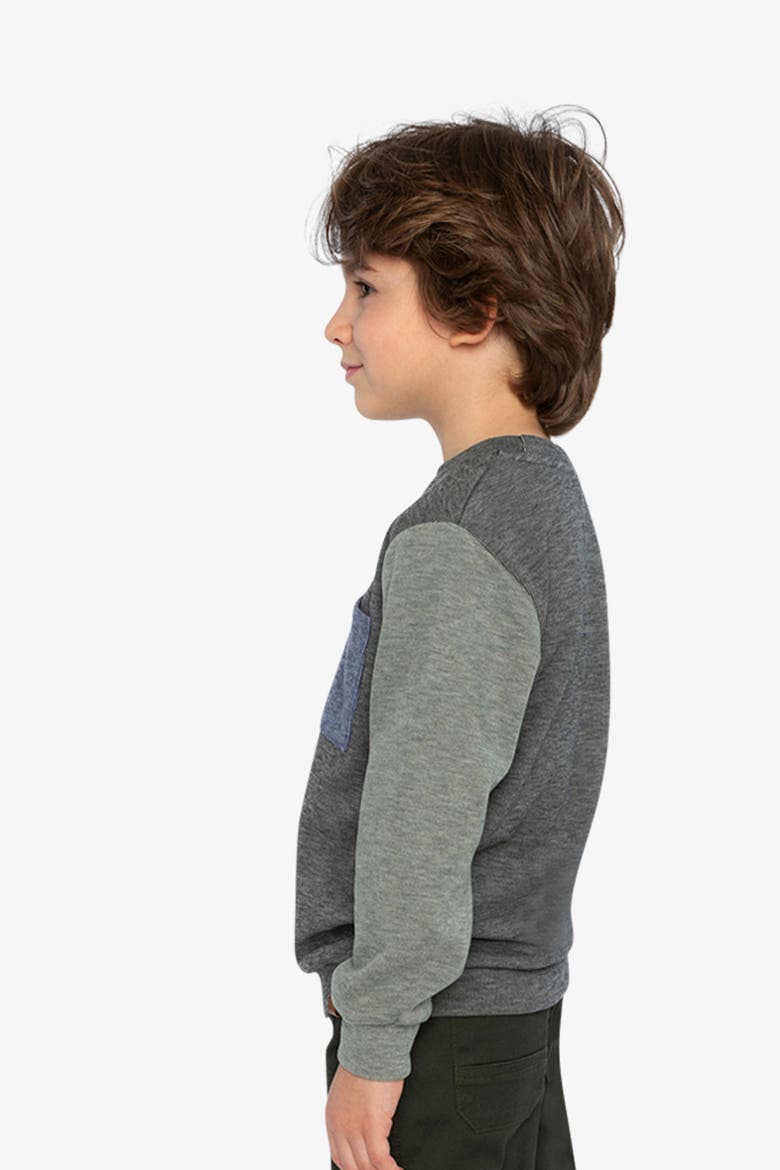 Colorblock Crew Neckline Jersey Top with Chest Pocket, Alternate, color, Pig Brown