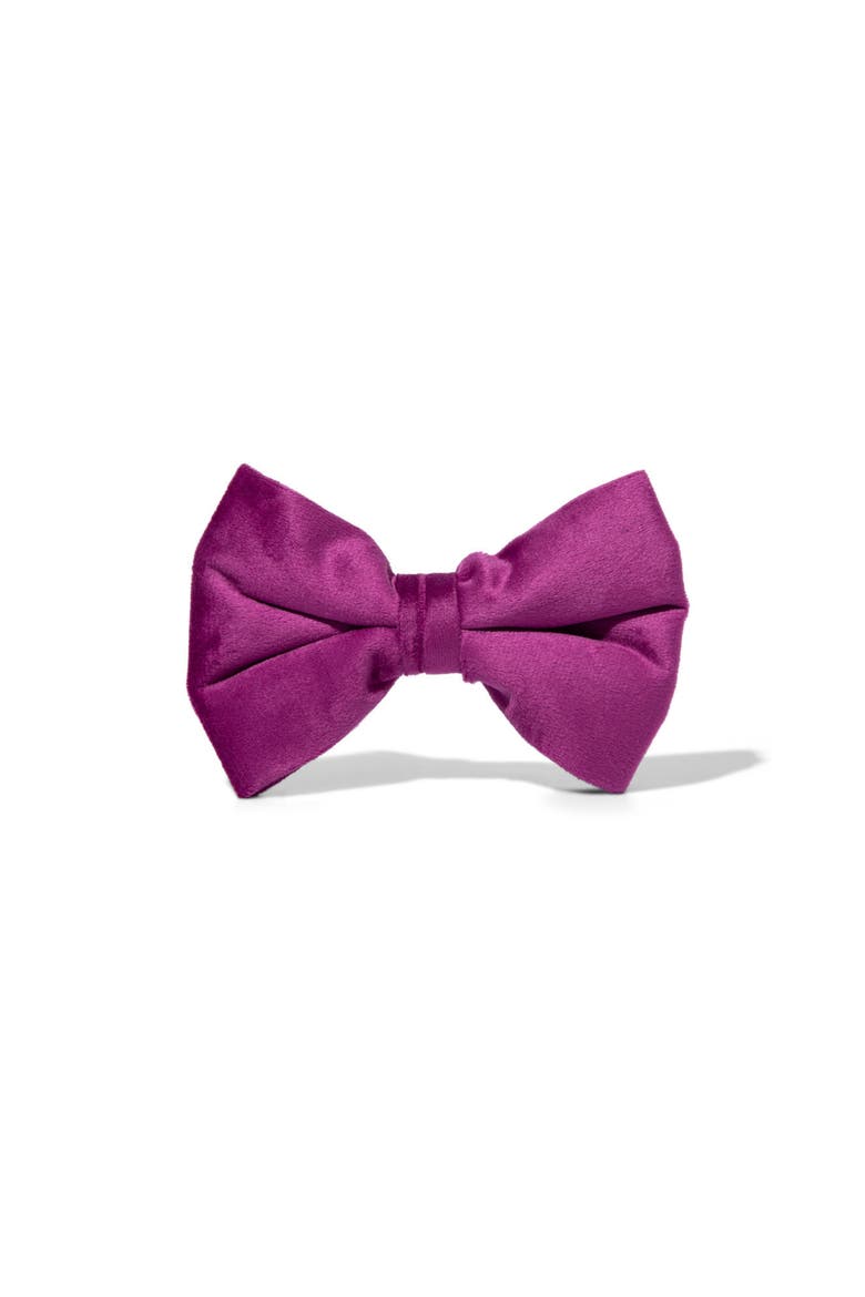 August Bow Tie, Main, color, August