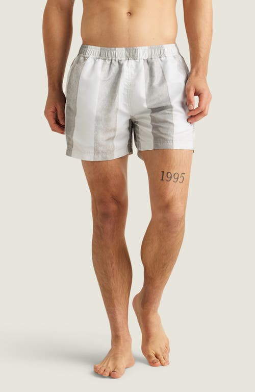 Auto-reply™ Sebastian Print 4-inch Nylon Swim Trunks In Fog/white Painted Stripe