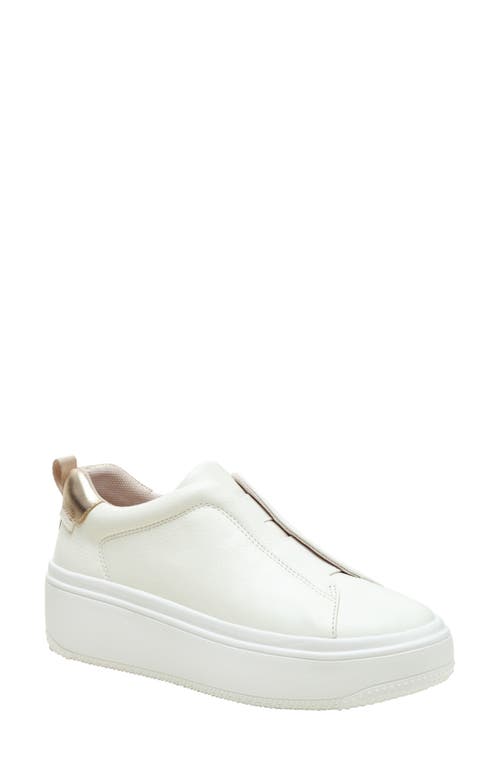 Linea Paolo Golde Platform Sneaker in White/Gold 