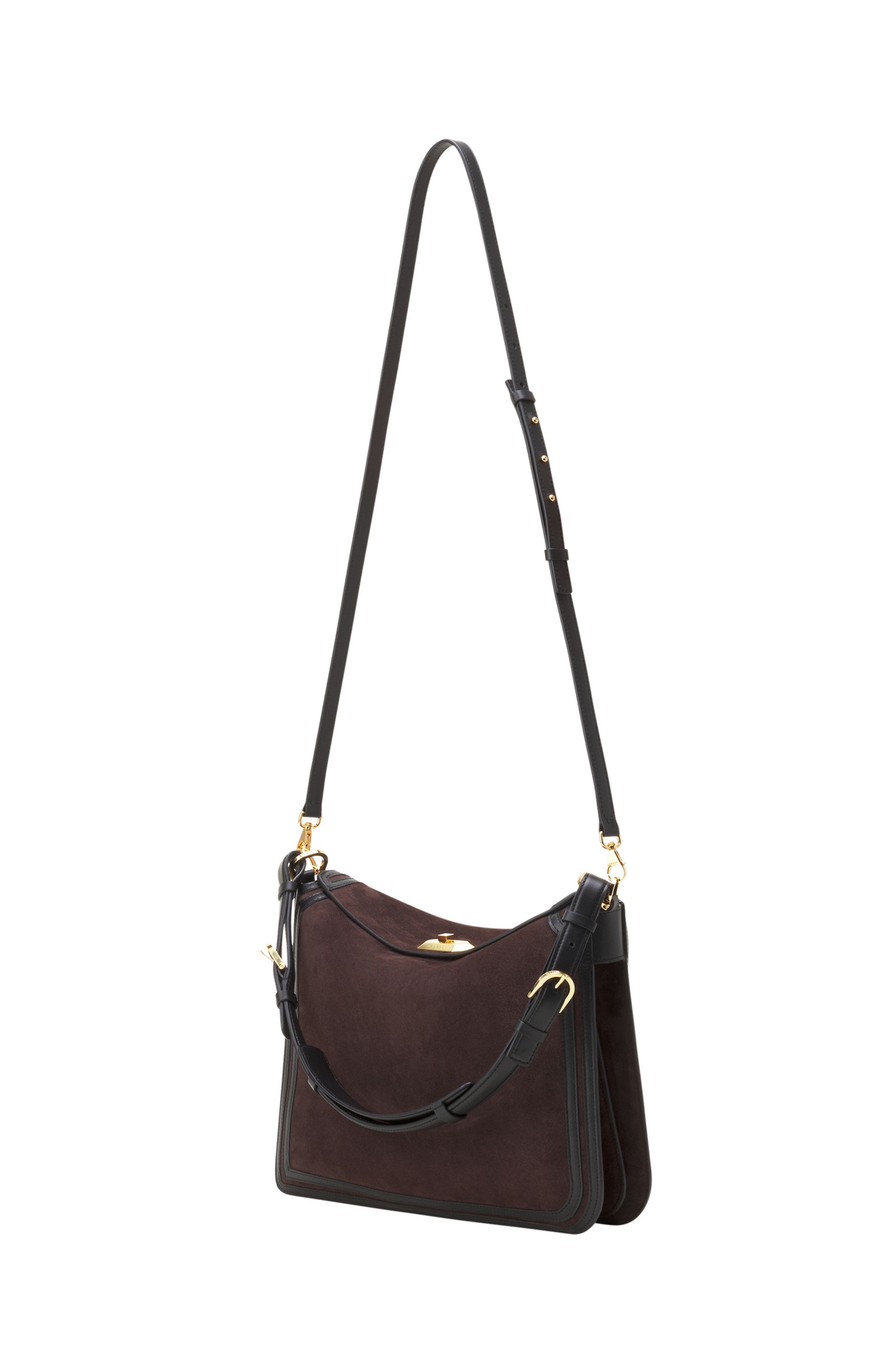 Lanvin Compagnon Asymmetrical Bag In Suede, Alternate, color, Dark Mocha