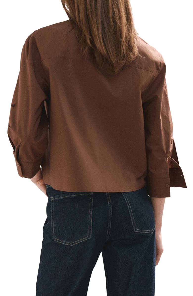 MANGO Stripe Cotton Button-Up Shirt, Alternate, color, Brown