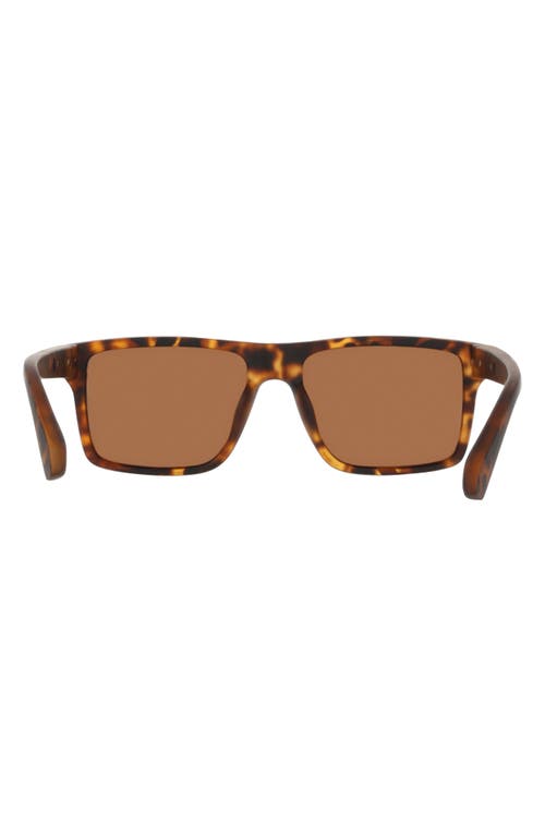 Cole Haan 54mm Rectangular Sunglasses In Brown
