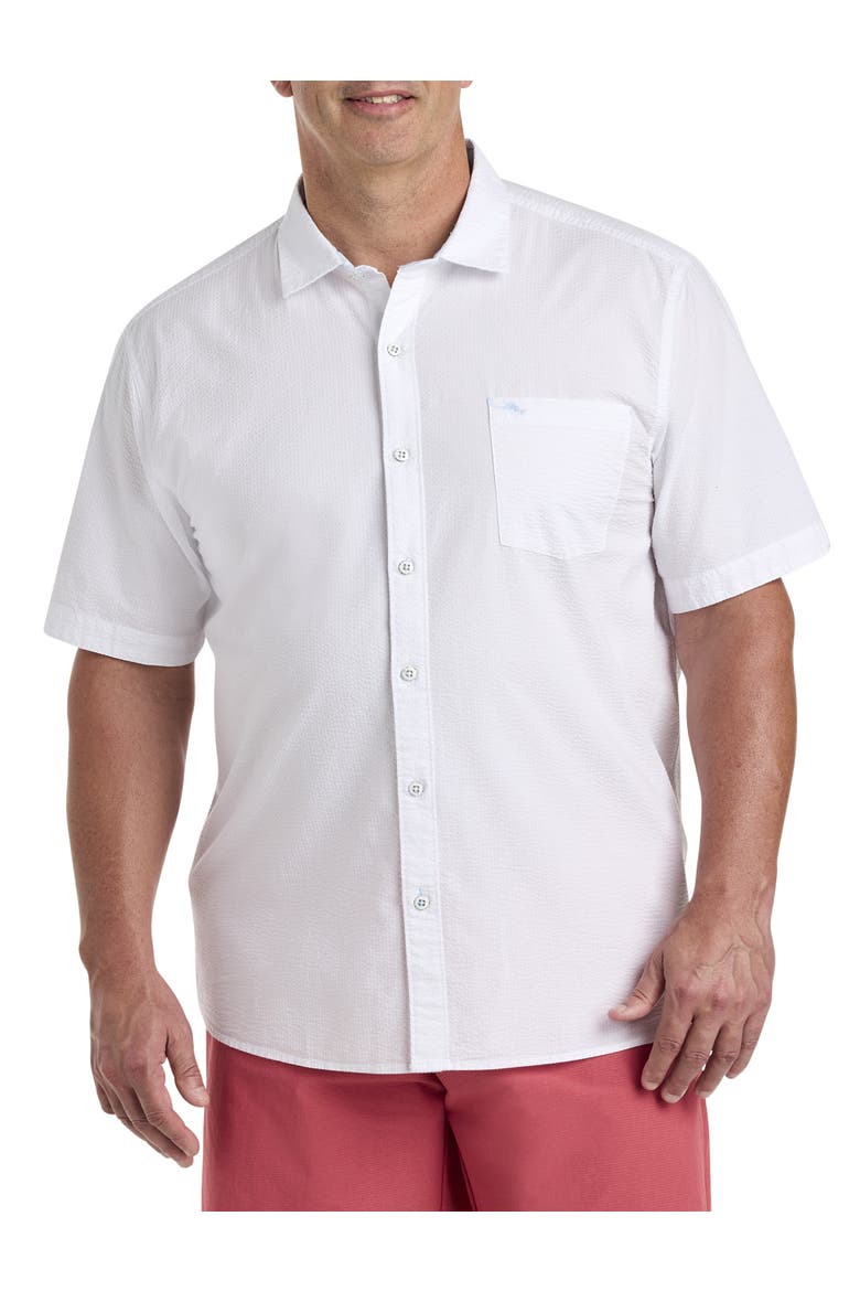 Big & Tall Nova Wave Sport Shirt, Main, color, WHITE