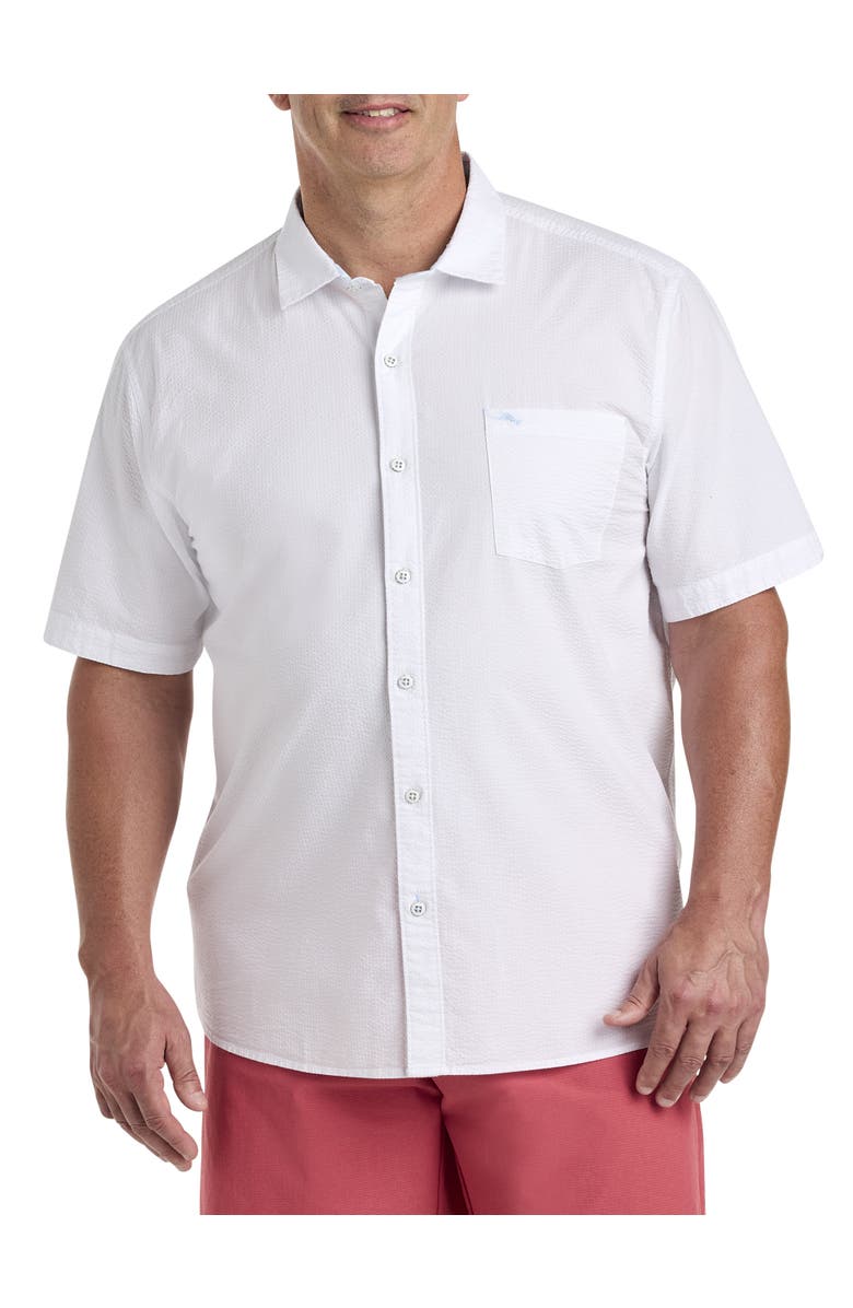 Tommy Bahama Big & Tall Nova Wave Sport Shirt, Main, color,