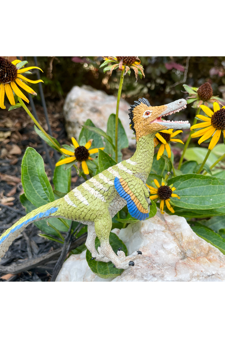 Austroraptor Toy, Alternate, color, No Color