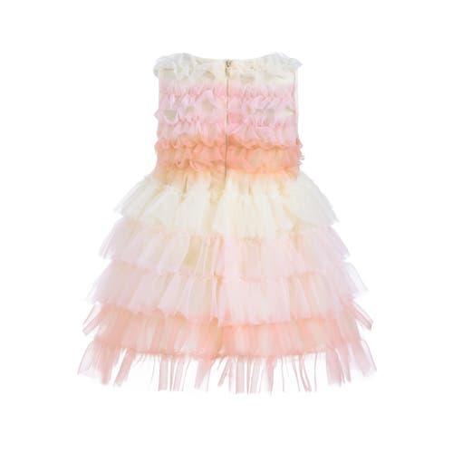Tulleen Ruffle Layered Tulle Dress