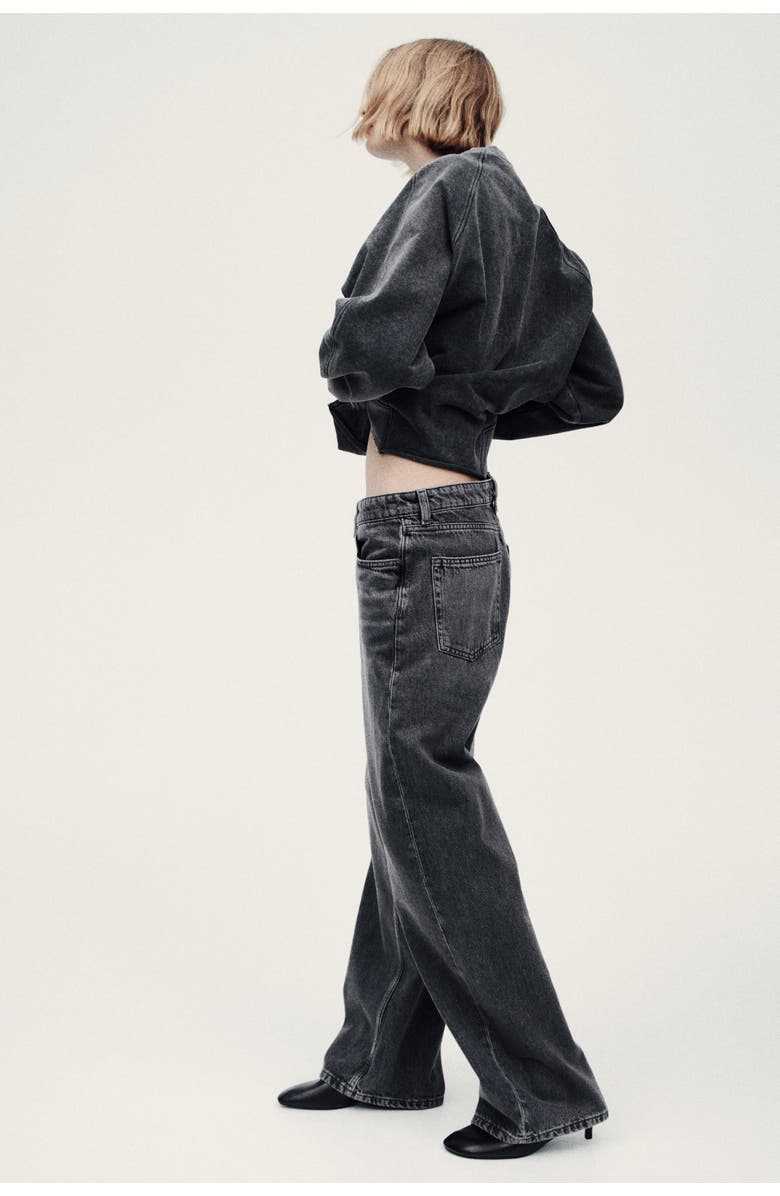 H&M Baggy Regular Waist Jeans, Alternate, color, Denim Gray