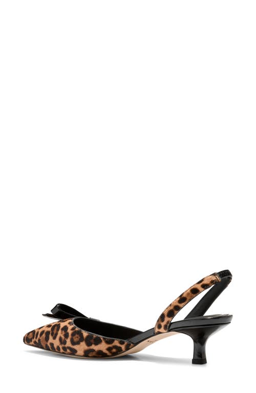 Cole Haan Noella Bow Slingback Pointed Toe Kitten Heel Pump In Leopard Print Haircalf