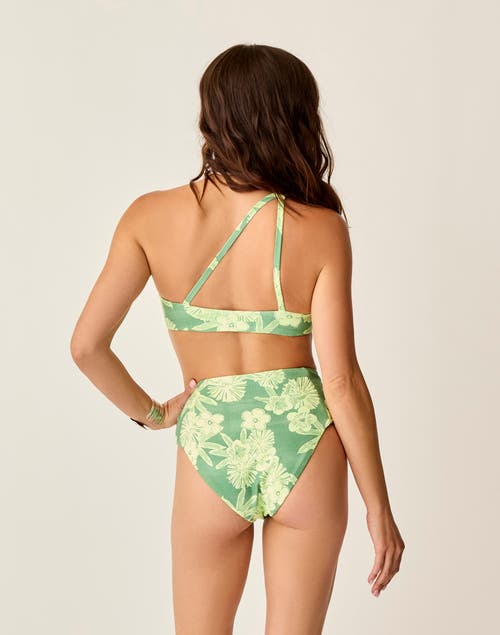 Carve Designs Lani Pocket Compression Bottom