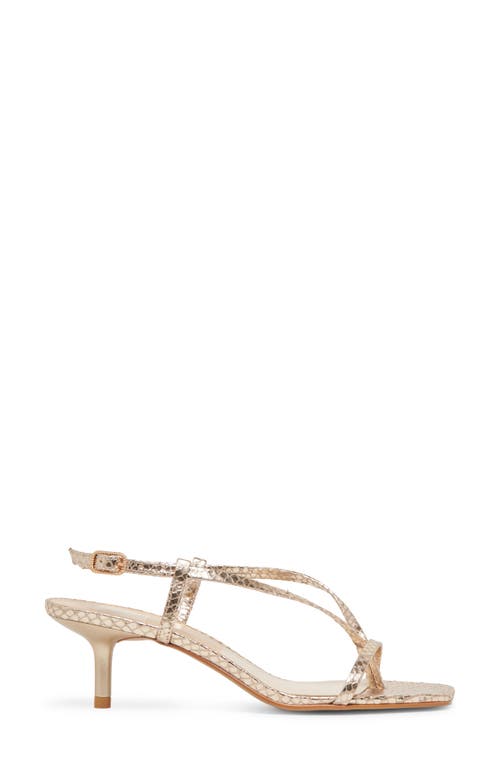 Dolce Vita Women's Laury Strappy Kitten-heel Dress Sandals In Champagne