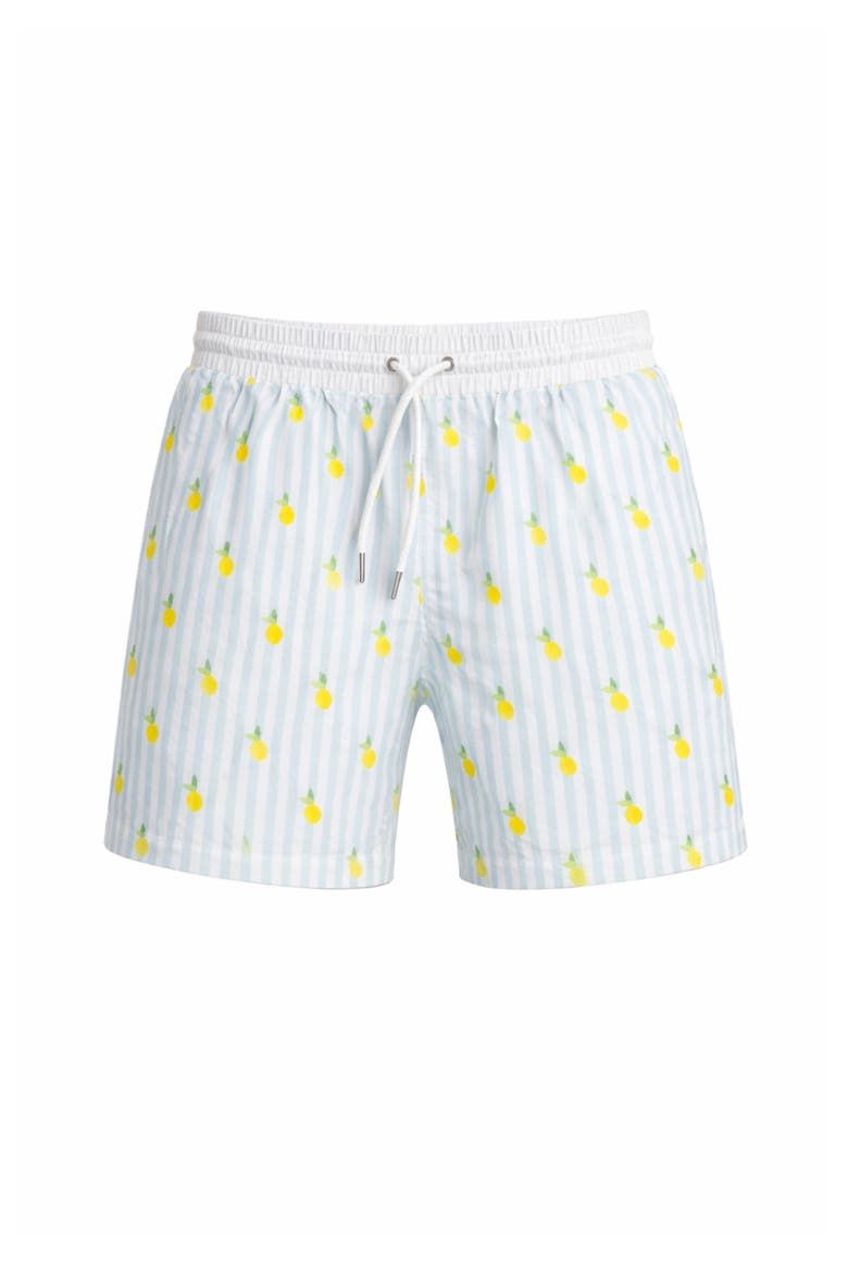 Jesse Swim Shorts, Main, color, Blue Lemon