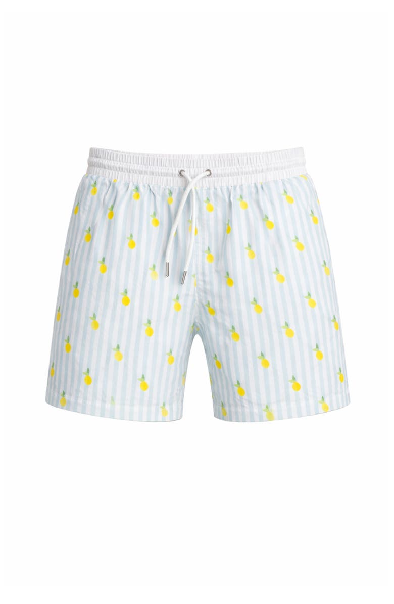 Ivy Swimwear Jesse Swim Shorts, Main, color, Blue Lemon