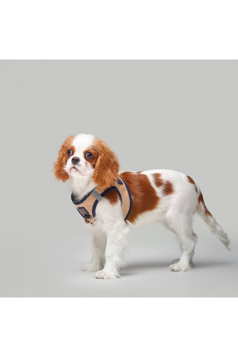 City Leash Set, Alternate, color, Hamptons